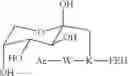 Fig. 27 - Glycated CD59 peptides, their preparation, and uses thereof