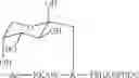 Fig. 30 - Glycated CD59 peptides, their preparation, and uses thereof
