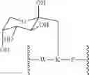 Fig. 32 - Glycated CD59 peptides, their preparation, and uses thereof