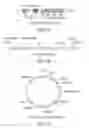 Fig. 02 - ANTI-CD19 scFv (FMC63) POLYPEPTIDE AND USES THEREOF