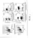 Fig. 06 - ANTI-CD19 scFv (FMC63) POLYPEPTIDE AND USES THEREOF