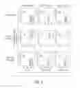 Fig. 07 - ANTI-CD19 scFv (FMC63) POLYPEPTIDE AND USES THEREOF