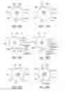 Fig. 32 - ANTI-CD19 scFv (FMC63) POLYPEPTIDE AND USES THEREOF