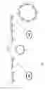 Fig. 02 - Grafting of cyclodextrin by amide bonds to an ether cross-linked hyaluronic acid and uses thereof