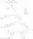 Fig. 56 - Procatalyst and polymerization process using the same