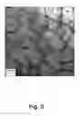 Fig. 10 - Degradable elastomeric material
