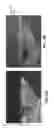 Fig. 07 - WATERPROOF ADHESIVE COMPOSITIONS