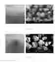 Fig. 09 - Metal fluoride red phosphor and light emitting element using same
