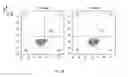 Fig. 09 - SYNTHETIC MEMBRANE-RECEIVER COMPLEXES