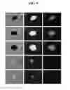 Fig. 06 - RNA preparations comprising purified modified RNA for reprogramming cells