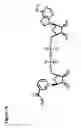 Fig. 02 - Stabilization of dehydrogenases with stable coenzymes