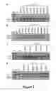 Fig. 04 - MODIFICATION OF THE DYSTROPHIN GENE AND USES THEREOF