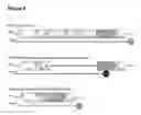 Fig. 09 - MODIFICATION OF THE DYSTROPHIN GENE AND USES THEREOF