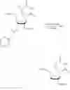 Fig. 43 - Short interfering nucleic acid (siNA) molecules containing a 2′ internucleoside linkage (3dT)