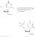 Fig. 45 - Short interfering nucleic acid (siNA) molecules containing a 2′ internucleoside linkage (3dT)