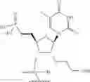 Fig. 72 - Short interfering nucleic acid (siNA) molecules containing a 2′ internucleoside linkage (3dT)