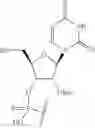 Fig. 76 - Short interfering nucleic acid (siNA) molecules containing a 2′ internucleoside linkage (3dT)