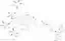 Fig. 77 - Short interfering nucleic acid (siNA) molecules containing a 2′ internucleoside linkage (3dT)
