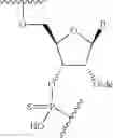 Fig. 79 - Short interfering nucleic acid (siNA) molecules containing a 2′ internucleoside linkage (3dT)