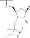 Fig. 83 - Short interfering nucleic acid (siNA) molecules containing a 2′ internucleoside linkage (3dT)