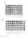 Fig. 02 - Hypersensitive ABA receptors