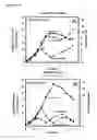 Fig. 02 - Cells having reduced BCAT1