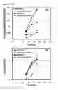 Fig. 16 - Cells having reduced BCAT1