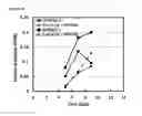 Fig. 17 - Cells having reduced BCAT1