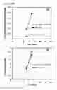 Fig. 23 - Cells having reduced BCAT1