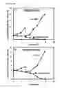 Fig. 31 - Cells having reduced BCAT1