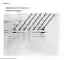 Fig. 40 - Cells having reduced BCAT1