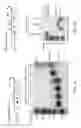 Fig. 02 - MODIFIED 3' REGION EXTRACTION AND DEEP SEQUENCING OF POLYDENYLATION SITES AND POLY(A) TAIL LENGTH ANALYSIS