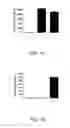 Fig. 02 - COINCIDENCE REPORTER GENE SYSTEM