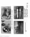 Fig. 15 - Method for using boronizing reaction gases as a protective atmosphere during boronizing, and reaction gas neutralizing treatment