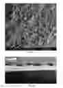 Fig. 09 - Plasma resistant coating of porous body by atomic layer deposition