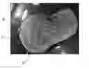 Fig. 01 - TEXTILE FABRIC, METHOD OF MANUFACTURING THE SAME AND TEXTILE PRODUCT MANUFACTURED USING THE SAME
