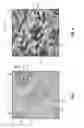 Fig. 02 - GRAPHITE AND NANOCLAY FLAME RETARDANT FABRICS