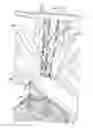 Fig. 01 - Rain collecting sculpture