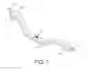Fig. 04 - SANITARY AND HYGENIC DEVICE