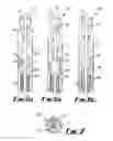 Fig. 06 - Downhole apparatus and method