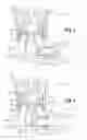 Fig. 03 - Fluid Valve With Hysteresis
