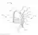 Fig. 01 - Integrated body armor harness system