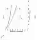 Fig. 08 - Unmanned aerial system based thermal imaging systems and methods