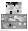 Fig. 01 - Devices to facilitate sampling with thin film solid phase microextraction