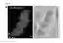 Fig. 06 - METHOD AND APPARATUS FOR IMAGING A SAMPLE