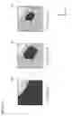 Fig. 08 - Odor sensor and odor measurement system