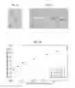Fig. 04 - QUANTIFYING TUBING DEFECT SEVERITY