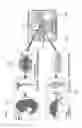 Fig. 04 - MICROFLUIDIC CHAMBER FOR THE STUDY OF NEUROMUSCULAR JUNCTIONS