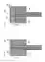 Fig. 20 - MICROFLUIDIC CHAMBER FOR THE STUDY OF NEUROMUSCULAR JUNCTIONS