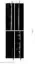 Fig. 02 - USE OF PEPTIDE HYDROGEL SCAFFOLDS FOR THREE-DIMENSIONAL THROUGHPUT DRUG DISCOVERY
